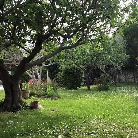 Le Mas * Saint-Mathieu-de-Tréviers